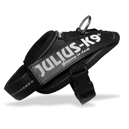 Harnais Julius K9 Noir