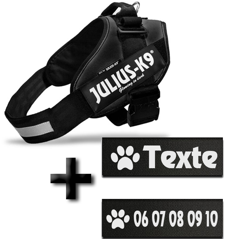 Lot De 6 Patches D'assistance Pour Chien – Noir – Neuf