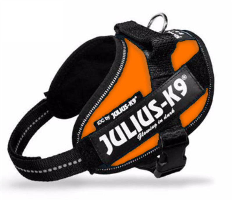 Julius K9 Power Idc Geschirr Orange