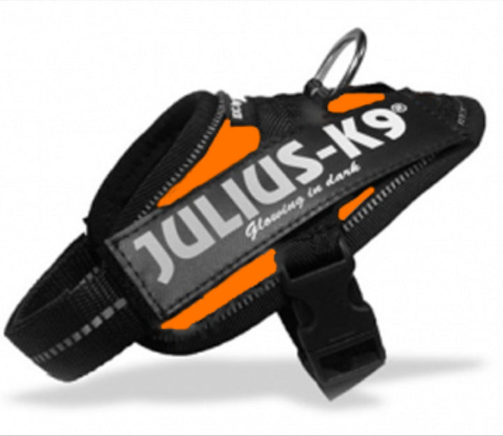 Julius K9 Power Idc Geschirr Orange