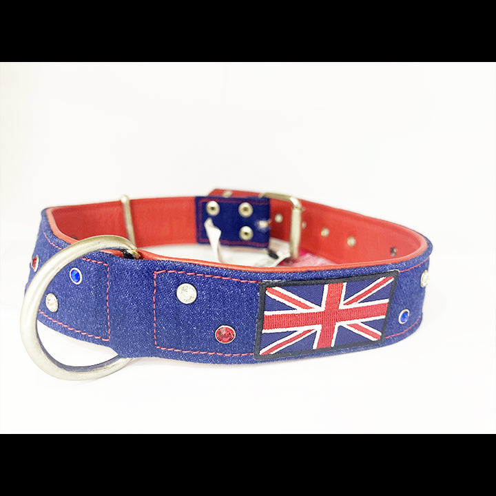 collier pour chien Estilfordog UK